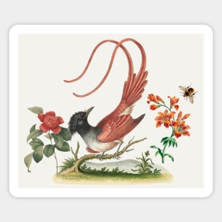 A Bird in the Paradise Garden. Nature Illustration Magnet